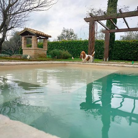 Villa Ca' le cerque Fossombrone Esterno foto