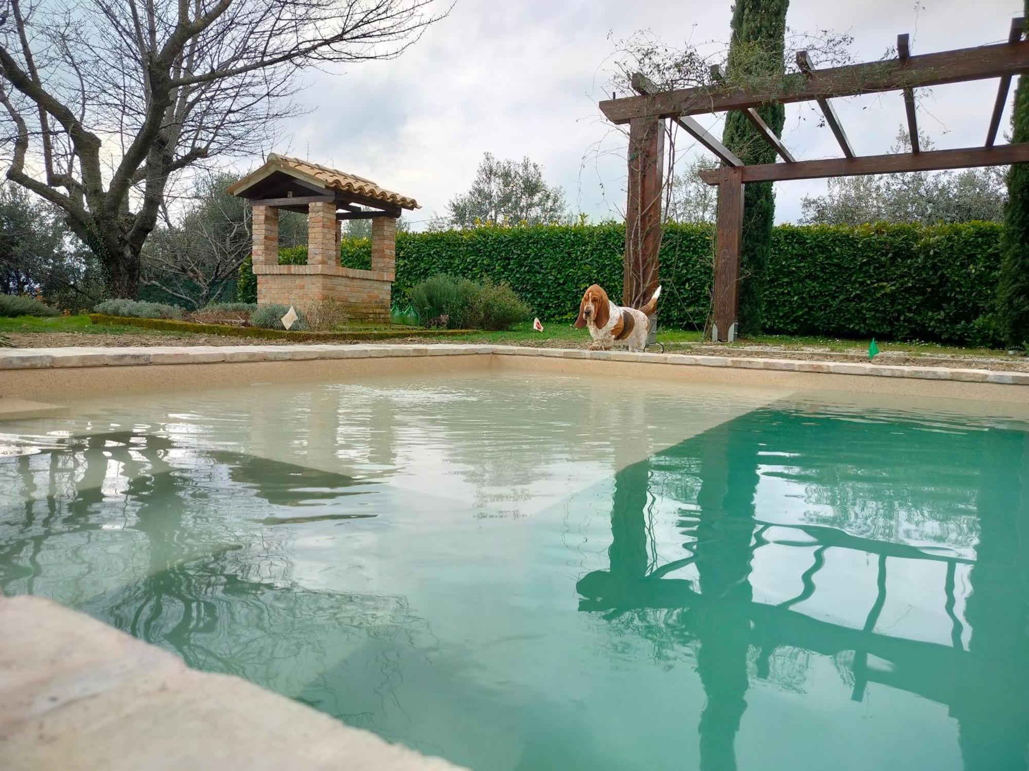 Villa Ca' le cerque Fossombrone Esterno foto